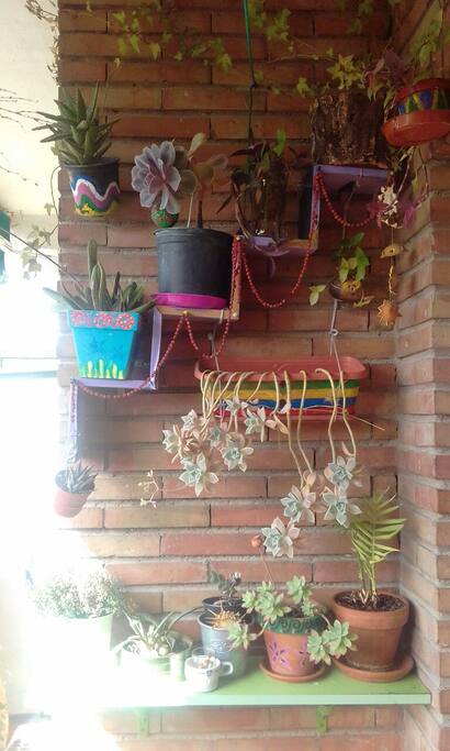 Plantitas
