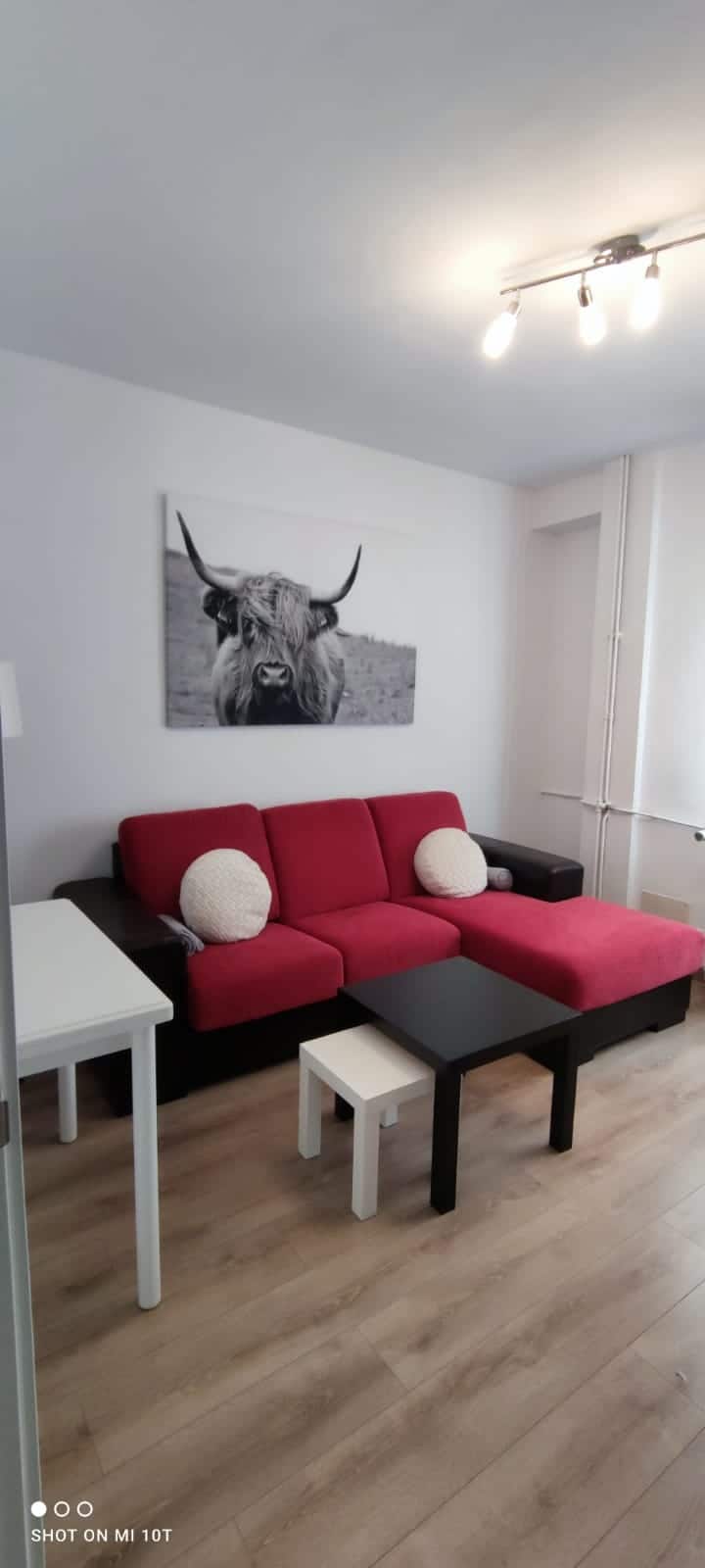 Renovated downtown apartment