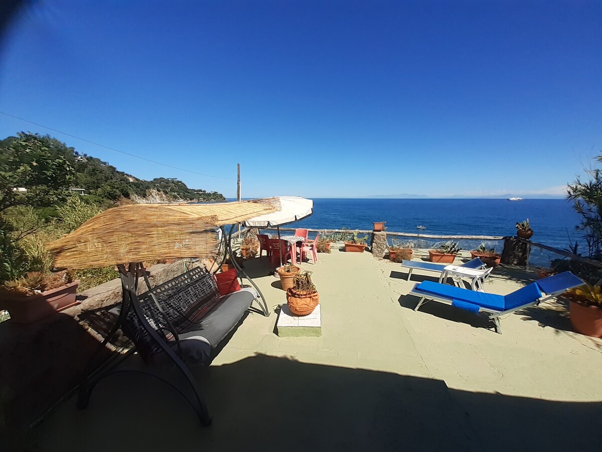 An outdoor terrace overlooking the sea features sun loungers and seating areas. Potted plants are arranged around the space, enhancing the coastal ambiance. A large awning provides shade, while the bright blue sea and clear sky create a serene backdrop.