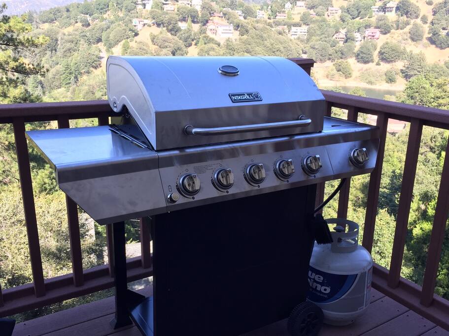 BBQ grill for your grilling pleasure
