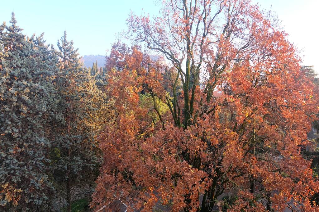 Parco all'interno della struttura dalla moltitudine di colori