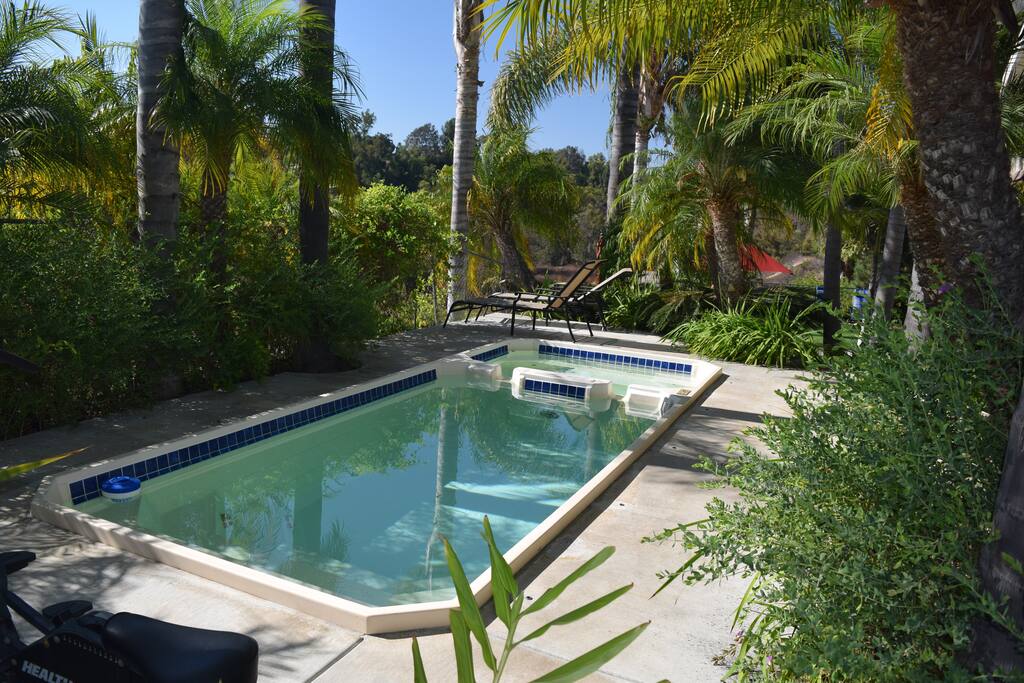 Swimspa and jacuzzi overlooking lower level and right off of master bedroom