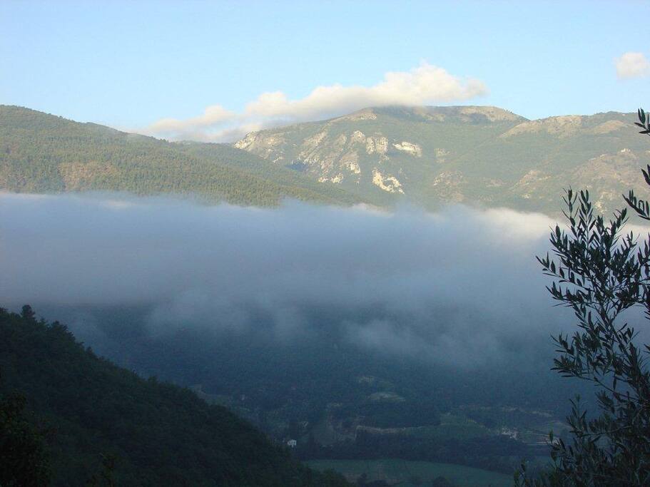 terrace view