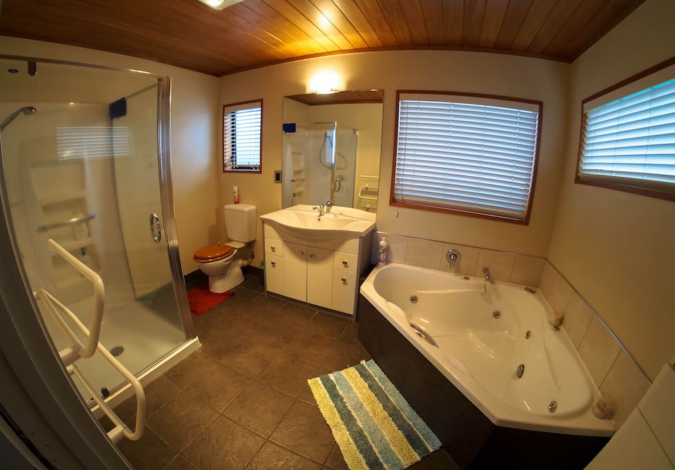 Master bedroom spa bath & high powered shower