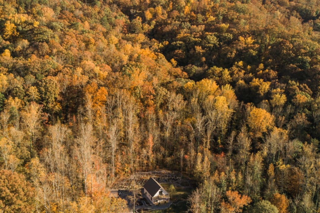 surrounded by national battlefield forest
