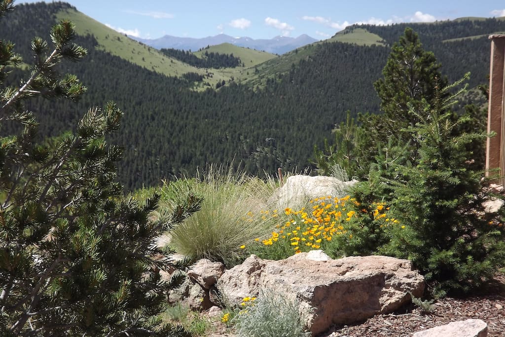 Summer mountain views from side yard