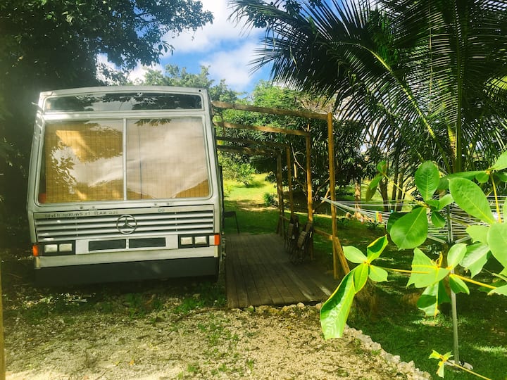 Eco StayBus, ‘Glamping in Paradise' East Coast