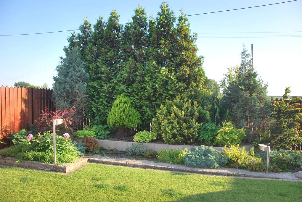 House Garden