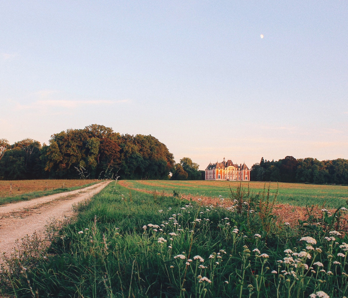 A winding gravel path leads through a grassy field towards a historic château. The structure is framed by lush trees, and the warm glow of evening light reflects off its exterior. A clear sky and soft moonlight create a serene atmosphere.