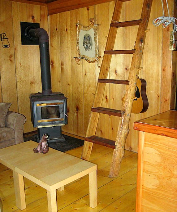Wood burning stove in living room