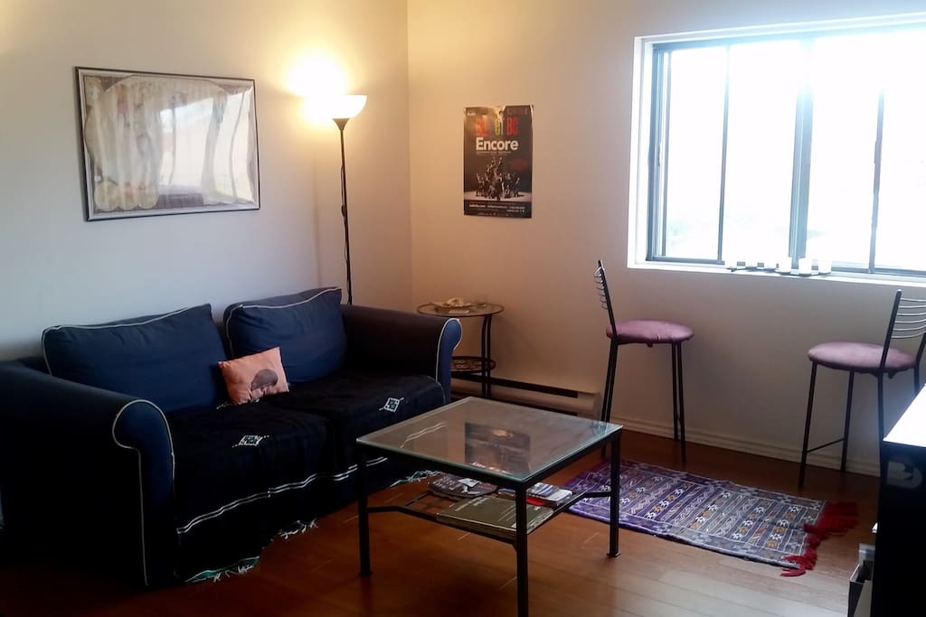 Living room with pull-out couch