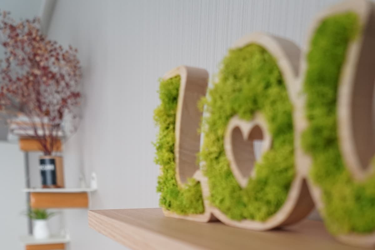 soba za goste samo za  žene