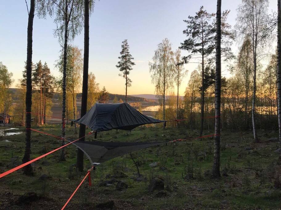 Sov som i ett rede mellom trærne, men nydelig utsikt over Gjesåssjøen!