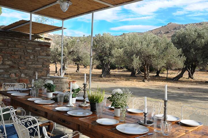 Fabulous Family Beach House gallery image 4