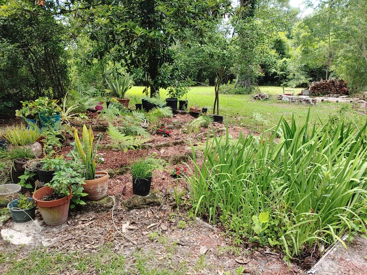 White Springs Holiday Rentals & Homes Florida, United States Airbnb