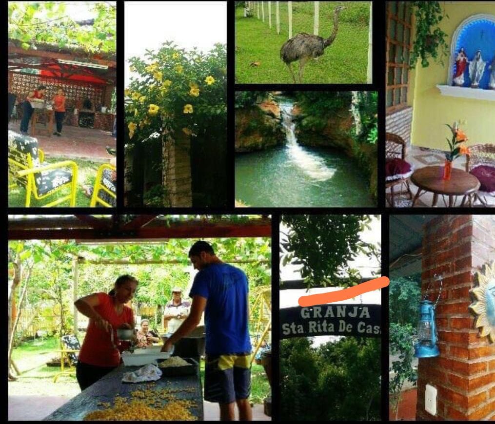 An outdoor gathering space is adorned with colorful flowers and lush greenery. A small waterfall cascades nearby, while two individuals work at a table, preparing food. A rustic sign indicates the location, and a bird can be seen in the grassy area.