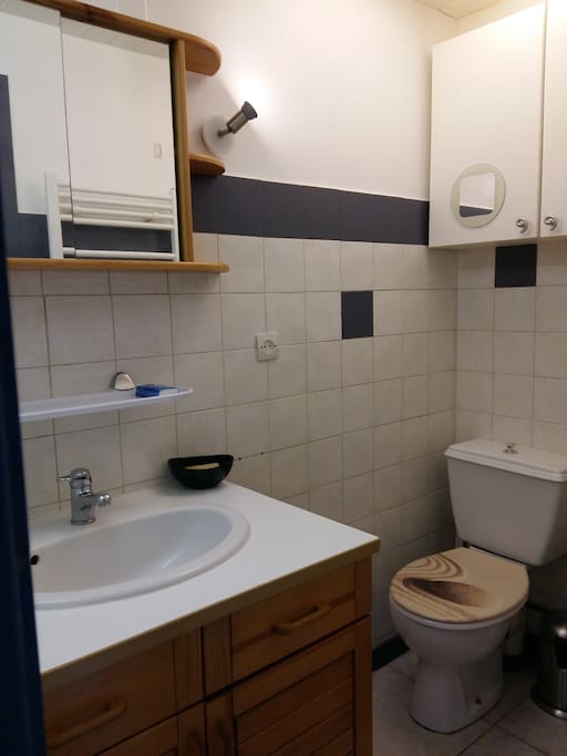 Salle de bain privée avec douche
