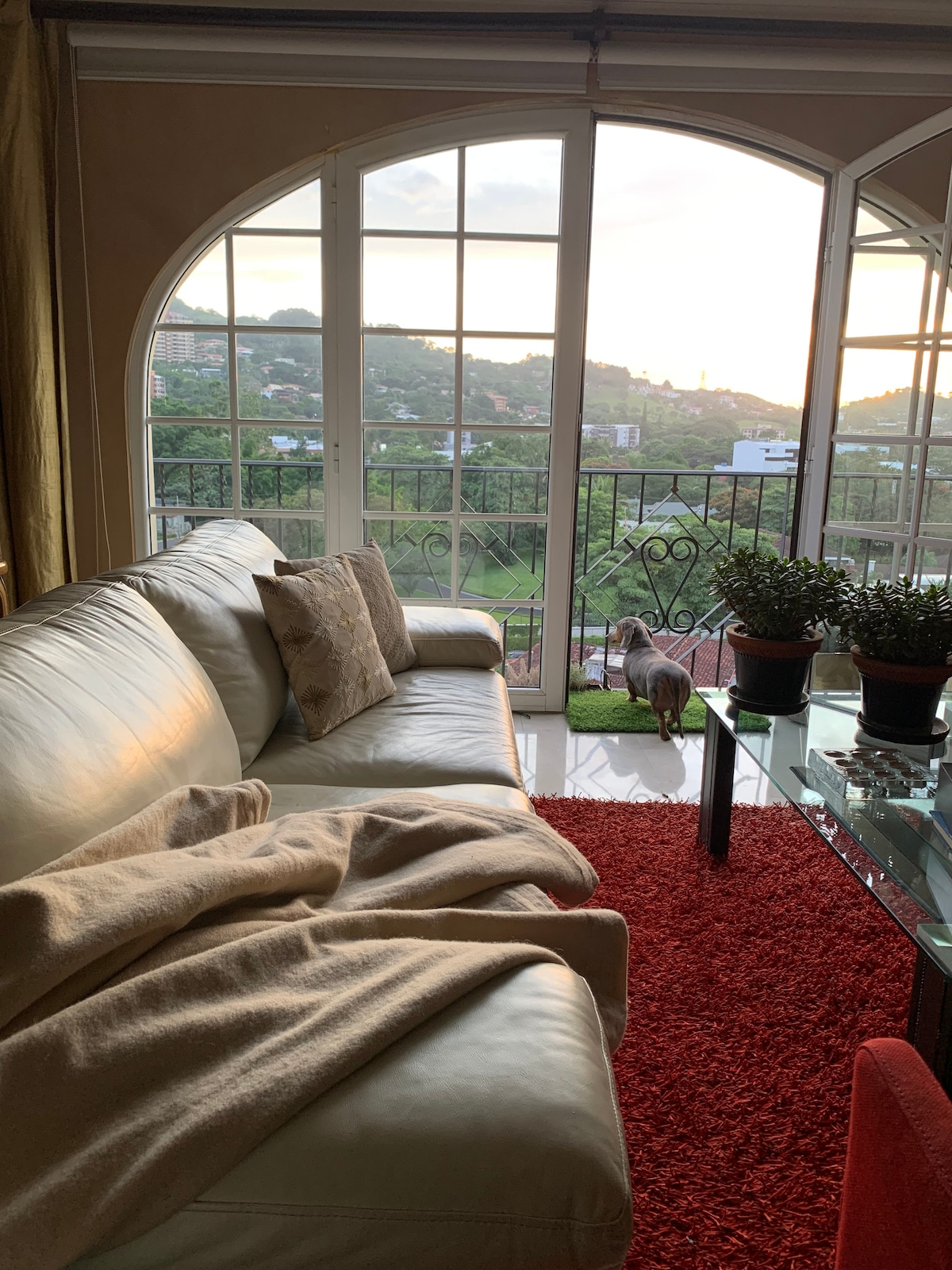 A light-filled living area features a comfortable white leather sofa with decorative pillows. A soft blanket is draped over the couch. The space is adorned with potted plants on a glass table, while large windows offer views of the landscape outside.