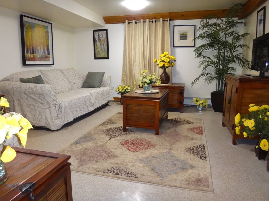 Living room with 1 sofa bed.