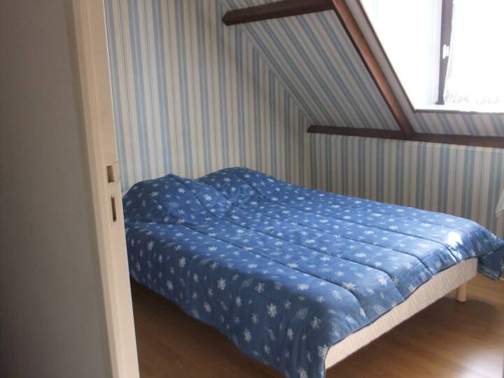 Habitación 5