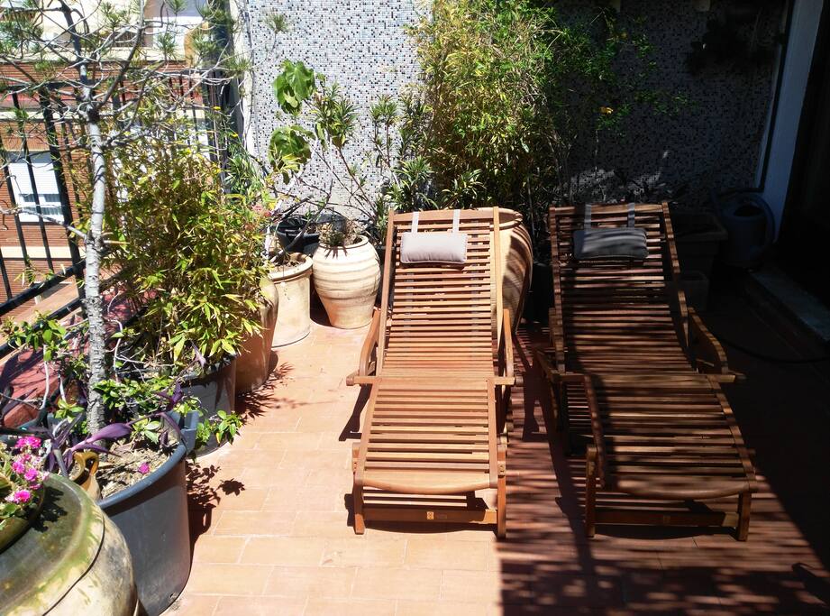Terraza