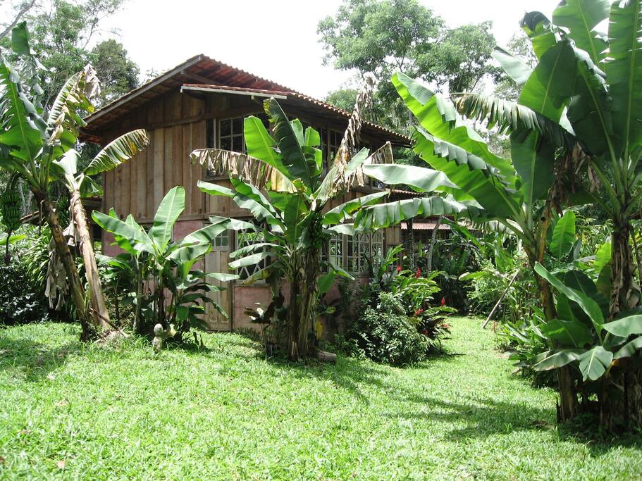 Ampla área verde