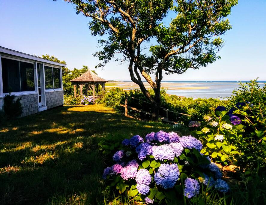 PRIVATE BEACHFRONT Cute Cottage on beach WIFI Houses for Rent in