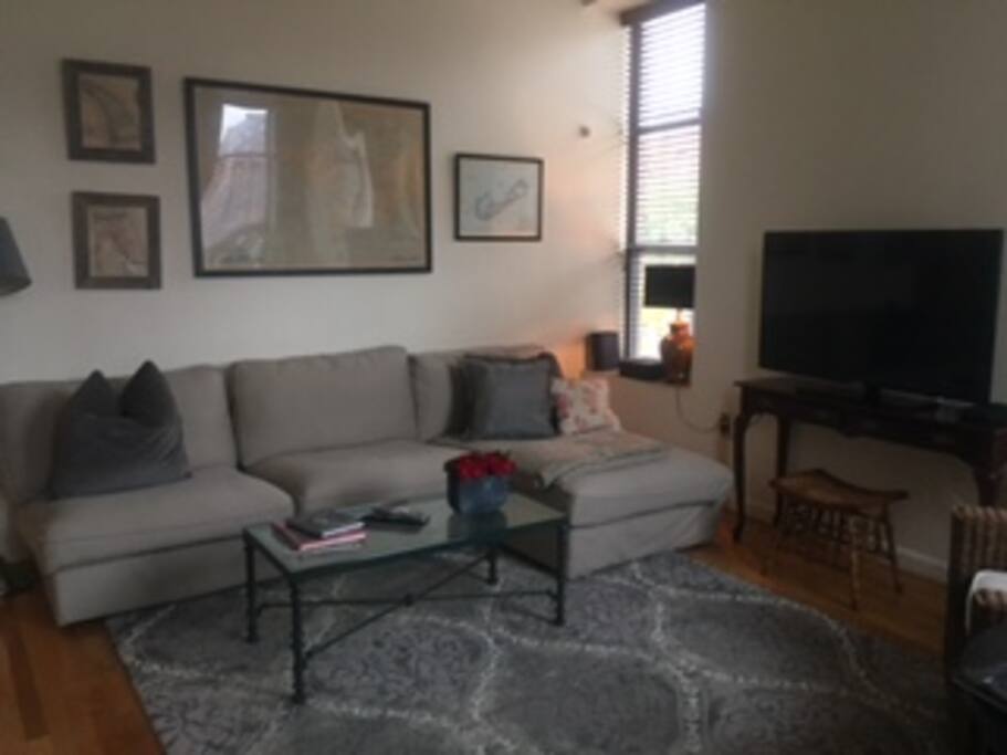 Sectional sofa and TV