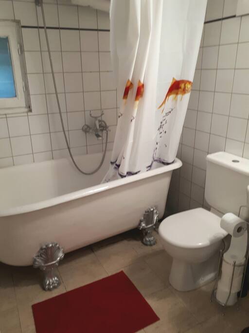 Salle de bain baignoire pieds griffe de lion