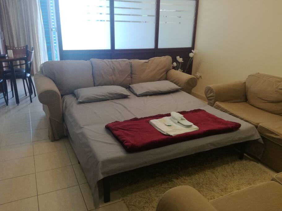 Here is the sofa bed (queen size)