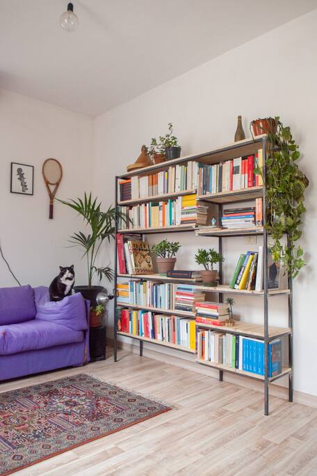 The living room with our fat cat, Davide.
Il salotto con il nostro gattone, Davide.