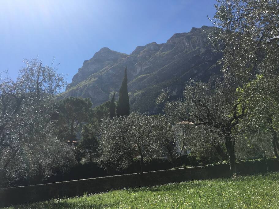 Il parco