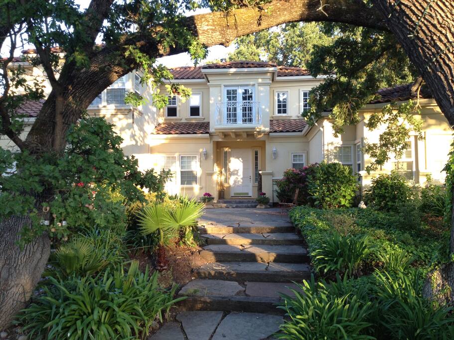 Front yard