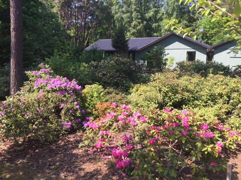 Cottage in nature near beach