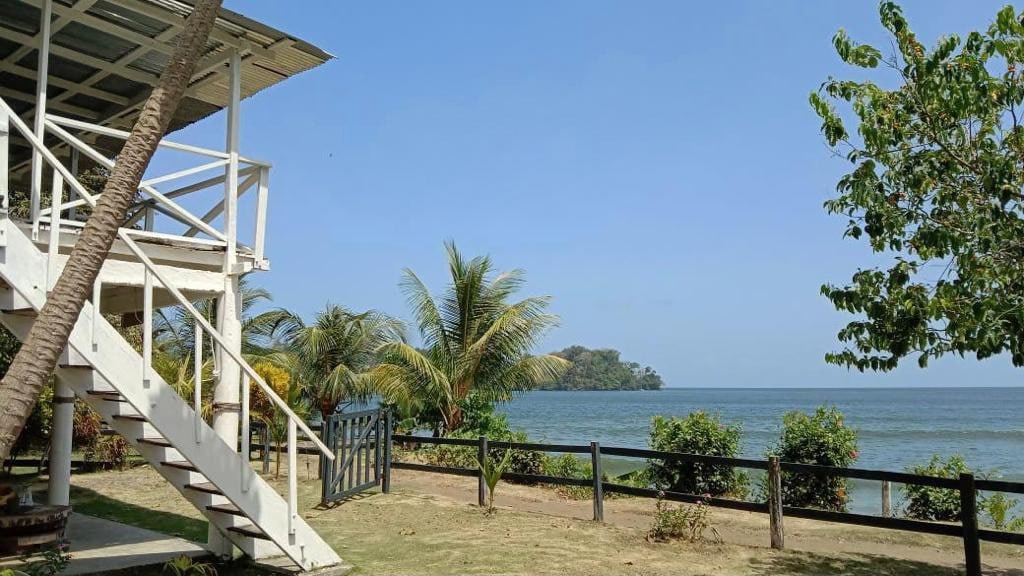 A two-story building is set against a backdrop of the ocean. Lush palm trees and other greenery surround a grassy area, while a wooden fence marks the property boundary. A staircase leads to the upper level, enhancing accessibility to the stunning views.