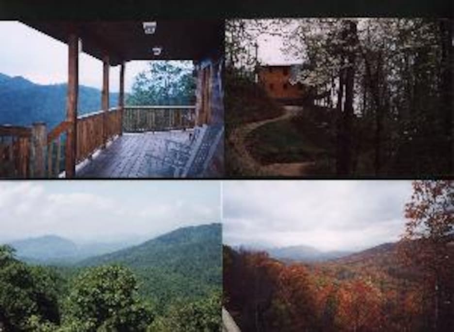Four seasons