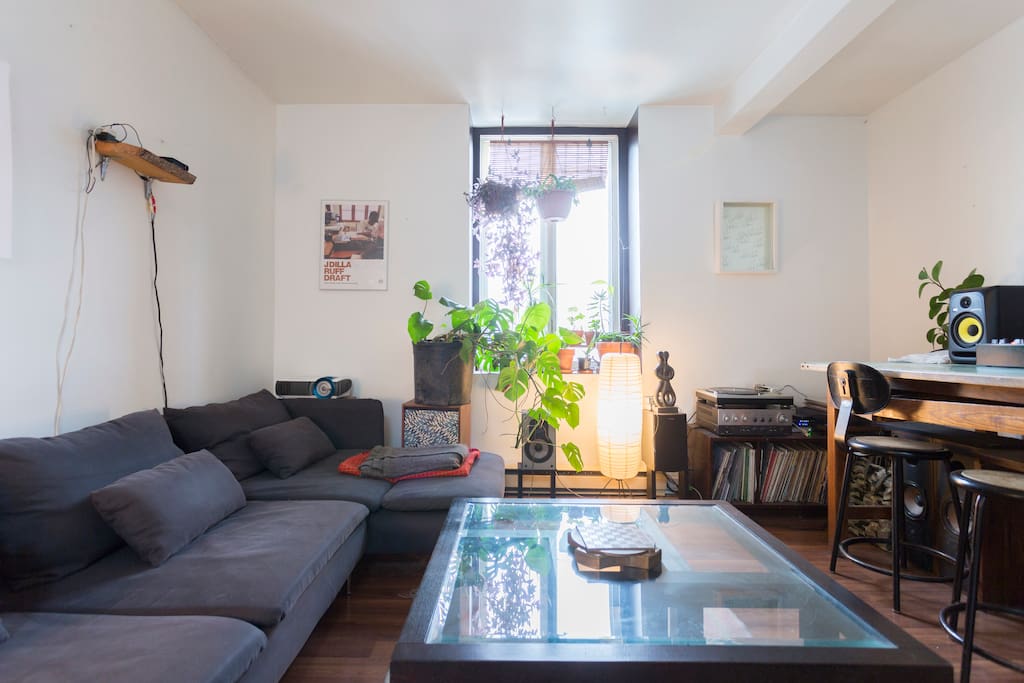 The living room is big and open and has got tons of plants and a nice big mirrored skylight!