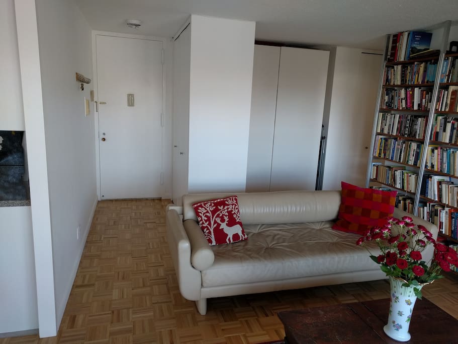 Living room - entrance