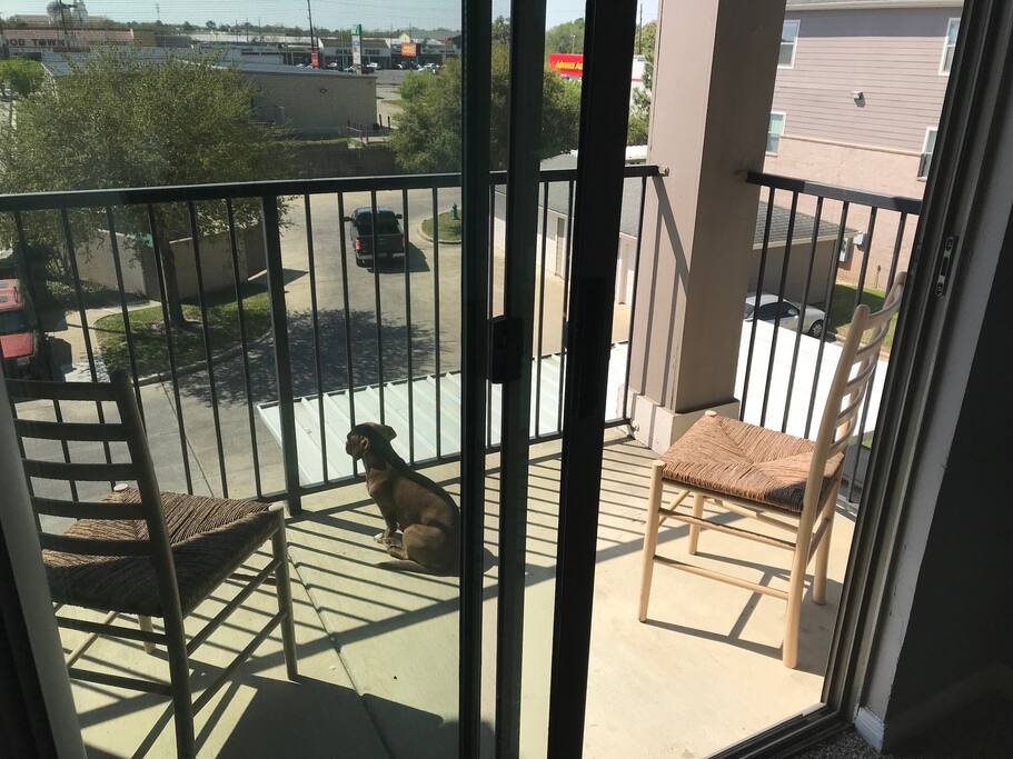 Patio, dog not included