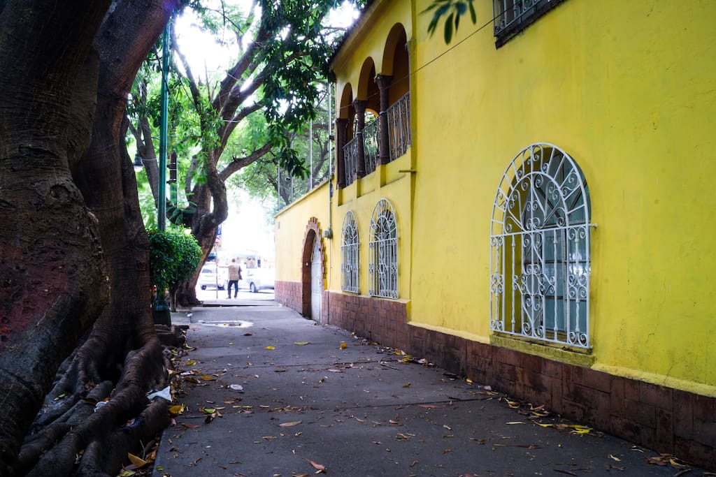 Está es la parte frontal de la casa tiene un estilo tradicional de Coyoacán/ Traditional Coyocan facade