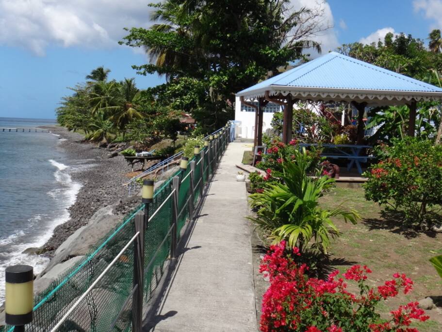 bord de mer caraibe