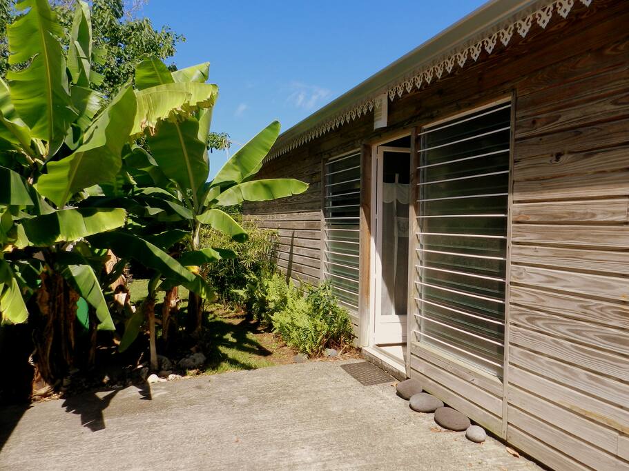l'entrée de la maison avec les bananiers