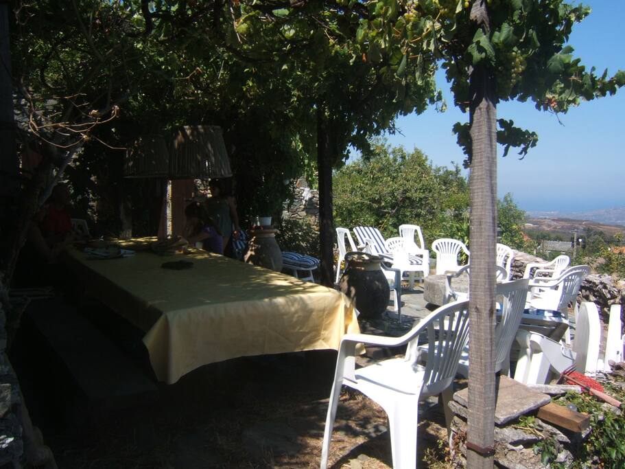 terrasse repas - barbecue