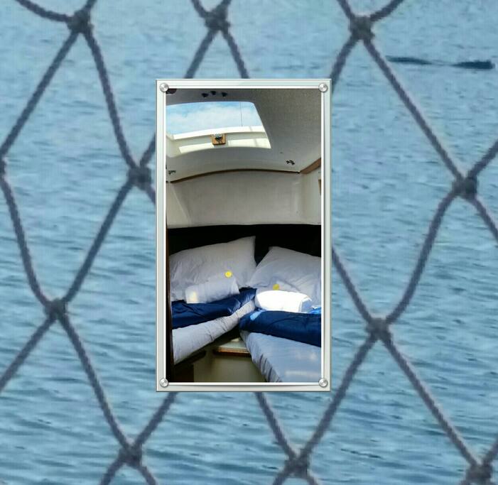 Your Bunk!