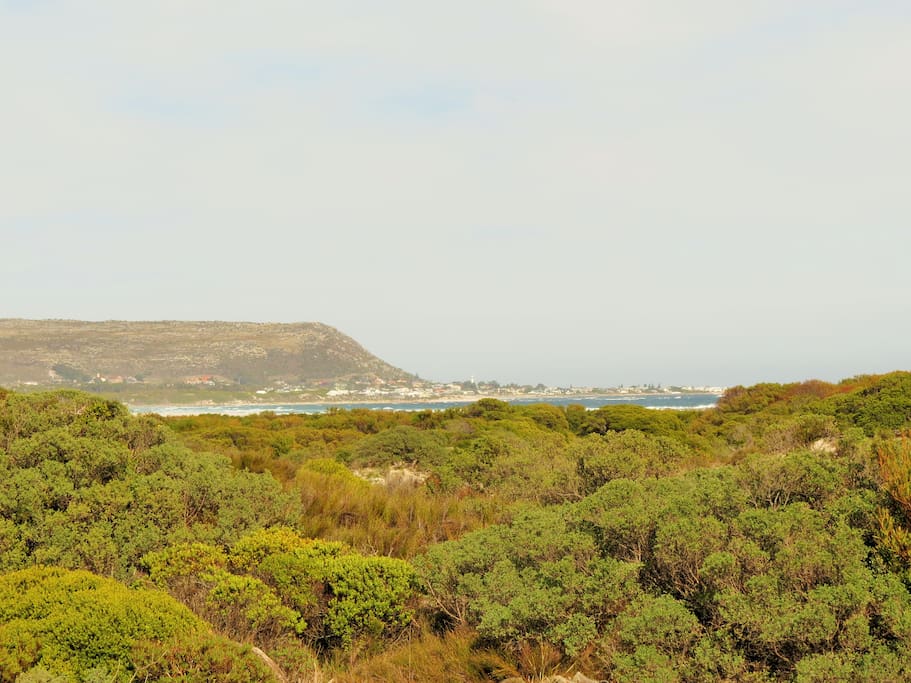 Sea views