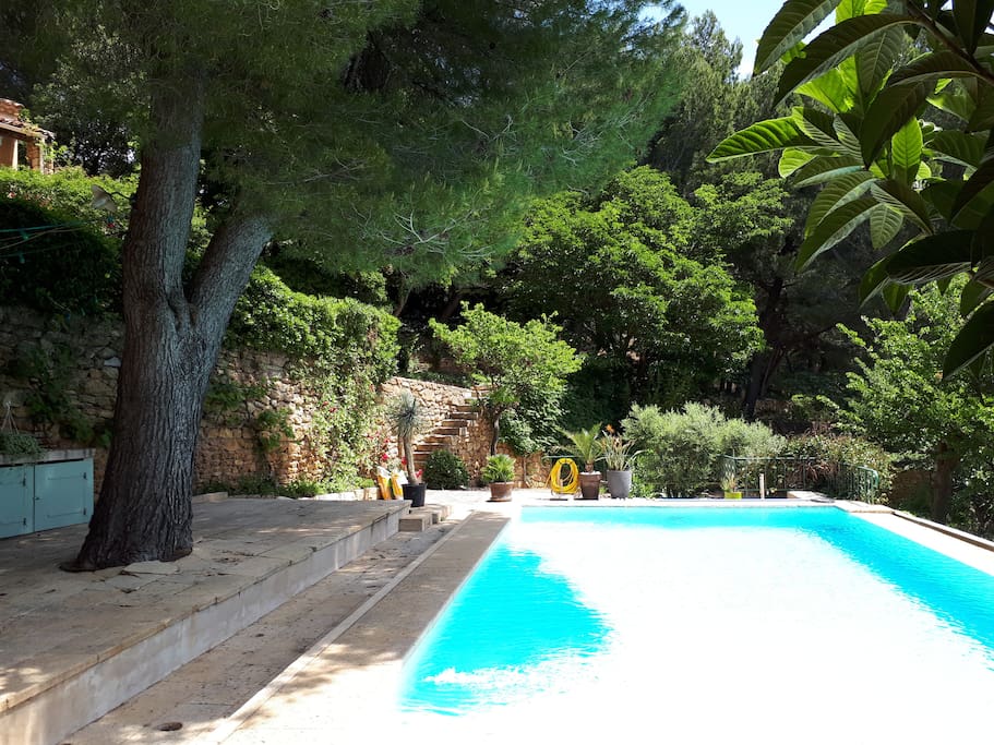 Piscine à 2 pas de l'appartement