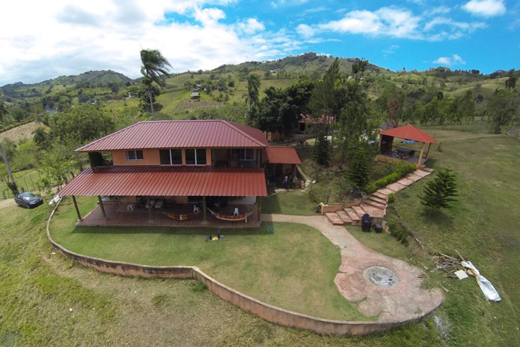 Bird view