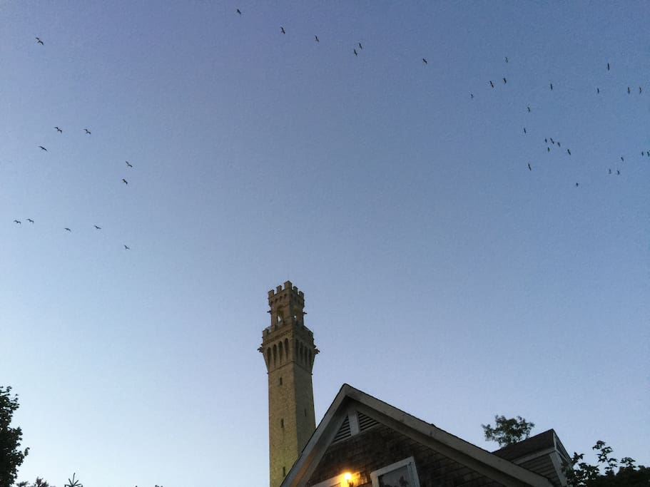 Just at the foot of Pilgrim Monument