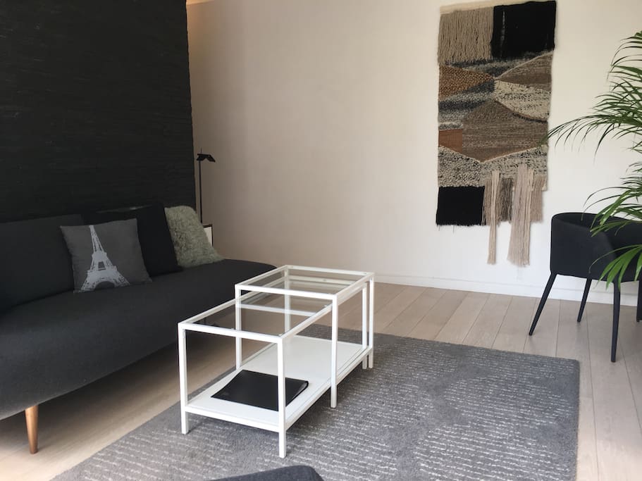 Salon (canapé convertible 2 personnes 120 cm de large)