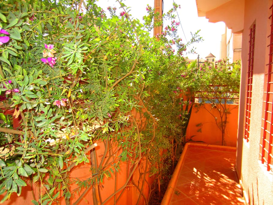 jardinet
